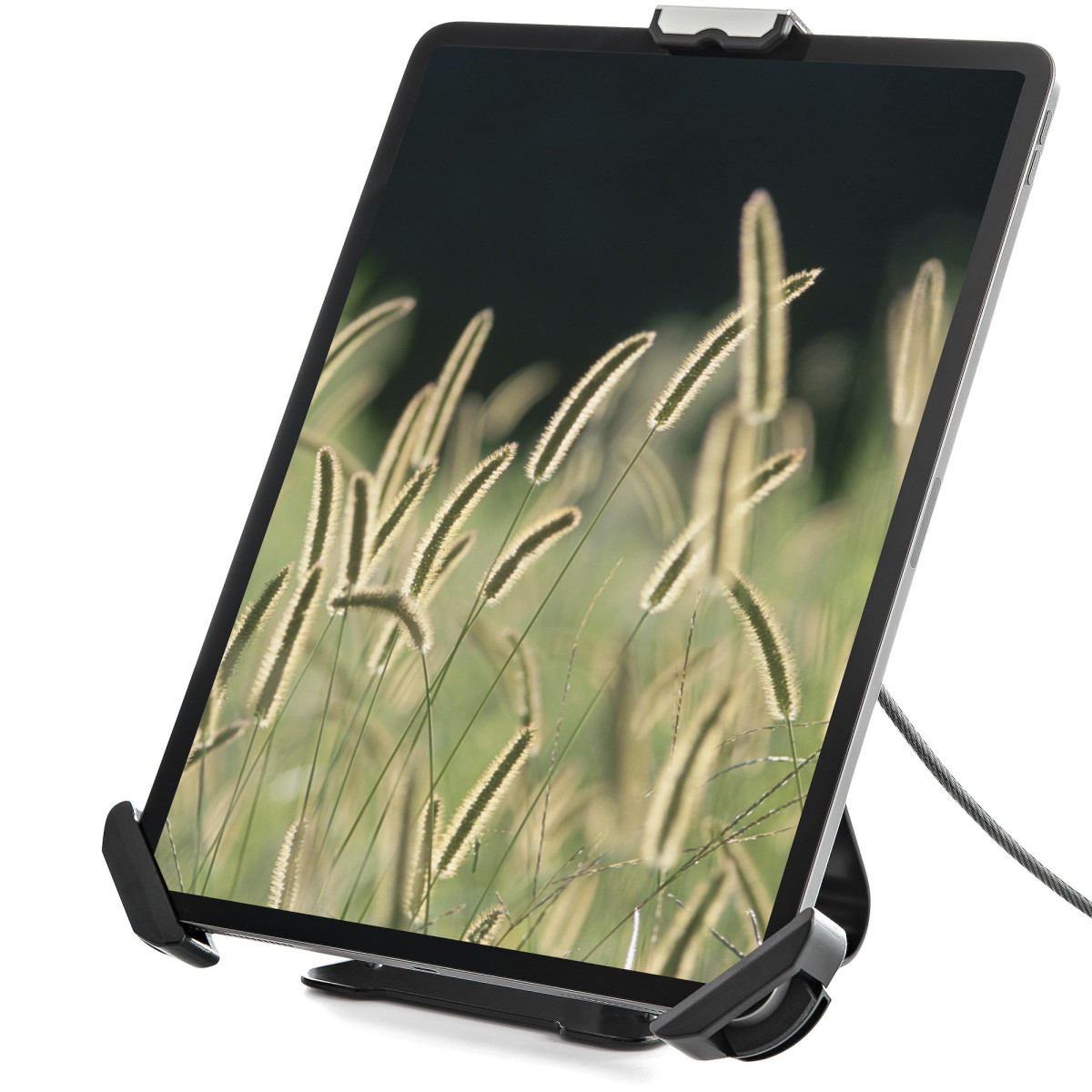 Secure Tablet Stand/Mount - 7.9-13 inch