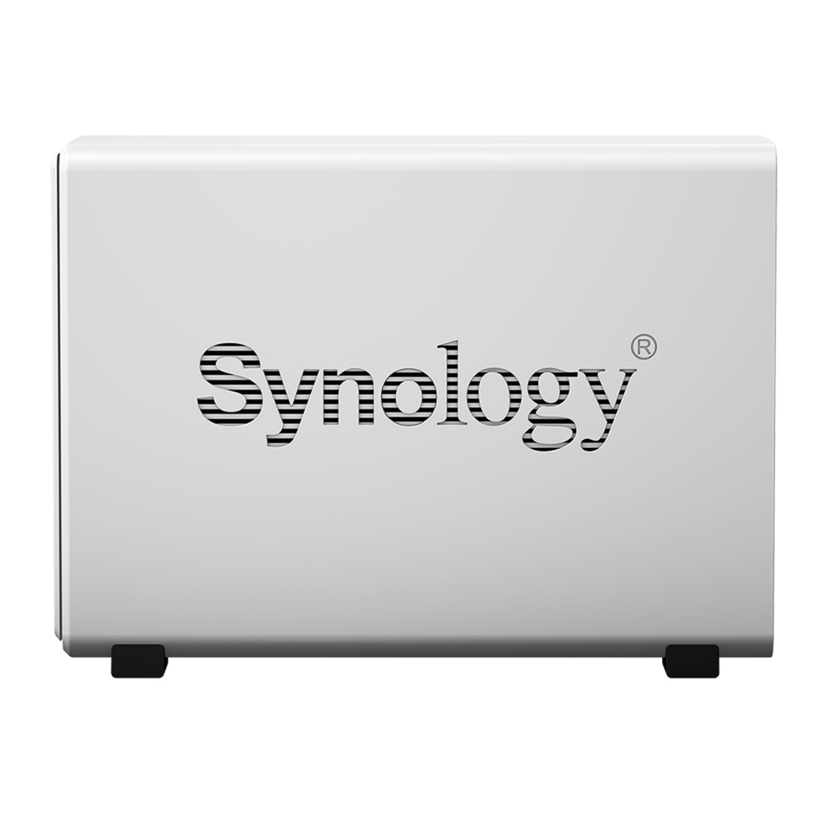 DS120j easy-to-use 1-bay person