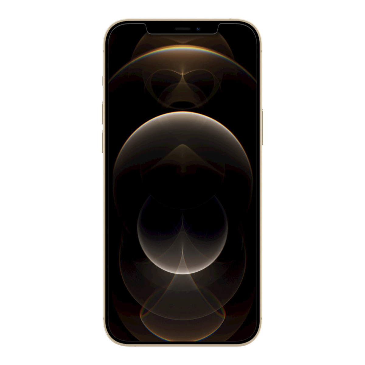 SF TG AM Screen Prot iPhone 12 Pro Max