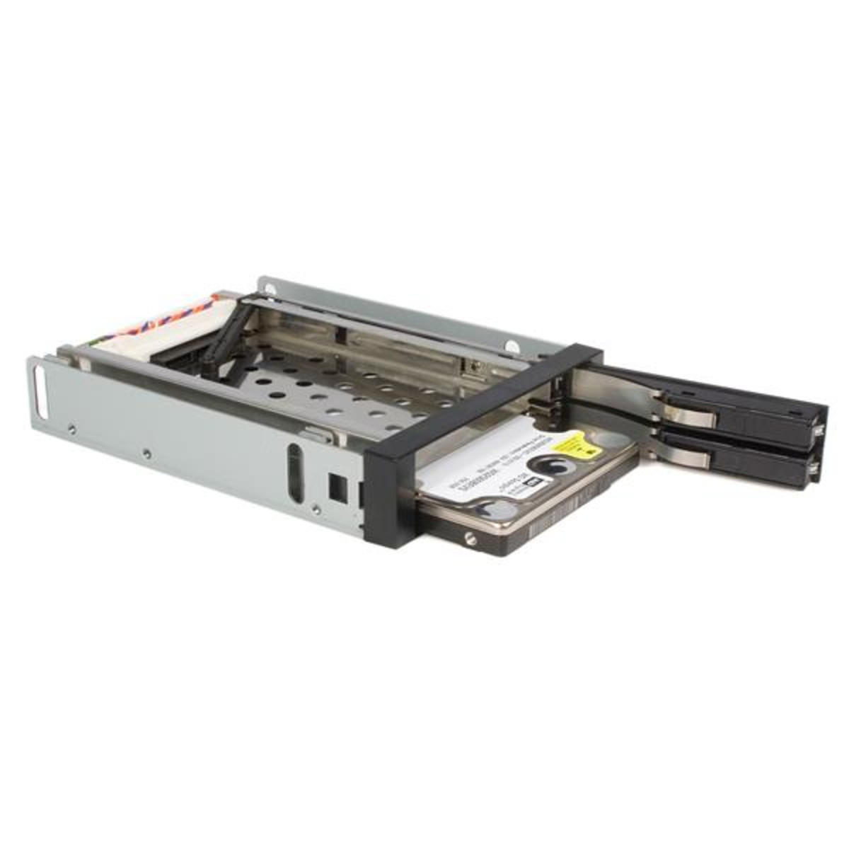 2 Drive 2.5in Trayless SATA Mobile Rack