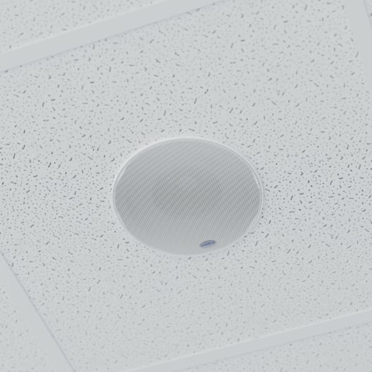 Ceiling Speaker kit (2pcs)