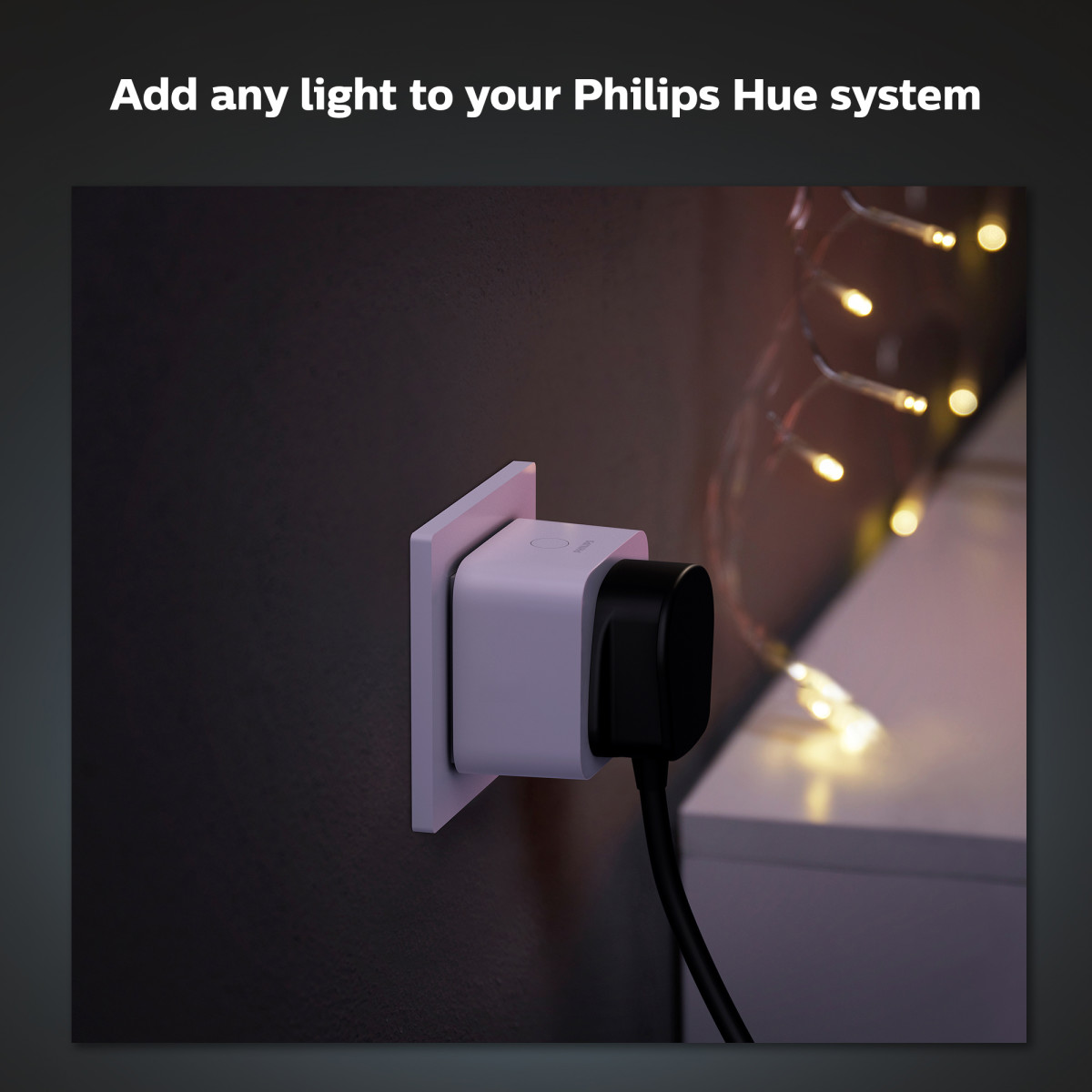 Philips Hue HB Smart Plug 2-pack Type-G