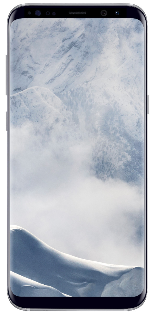 S8+ 64GB -Silver B2B 24m War Ent.Grd
