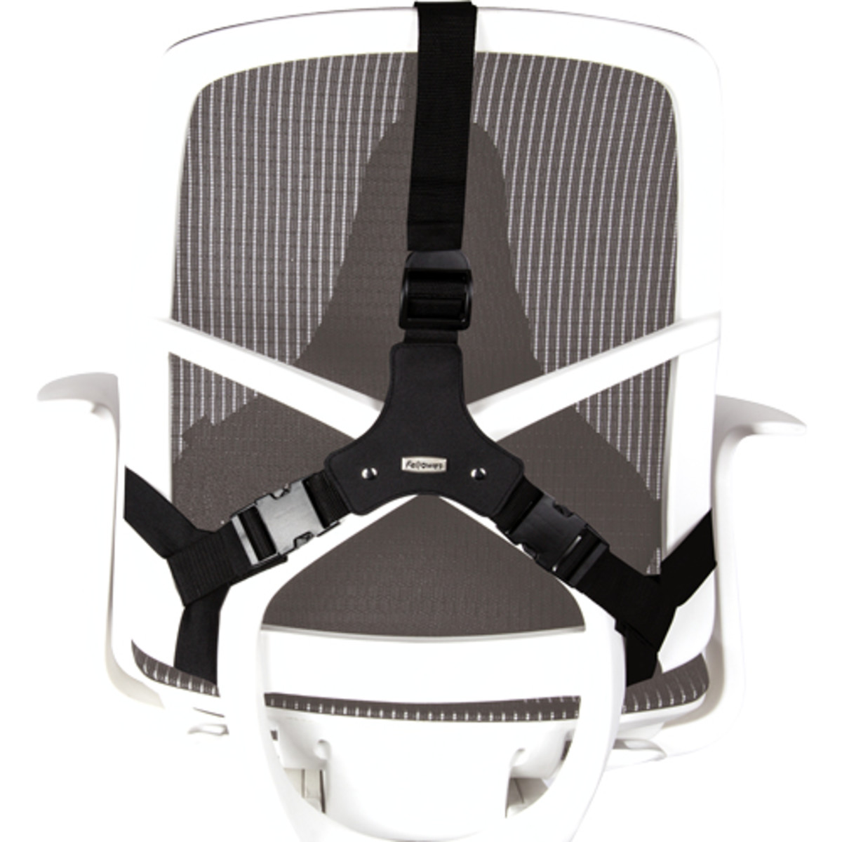Pro Series Ultimate Back Support