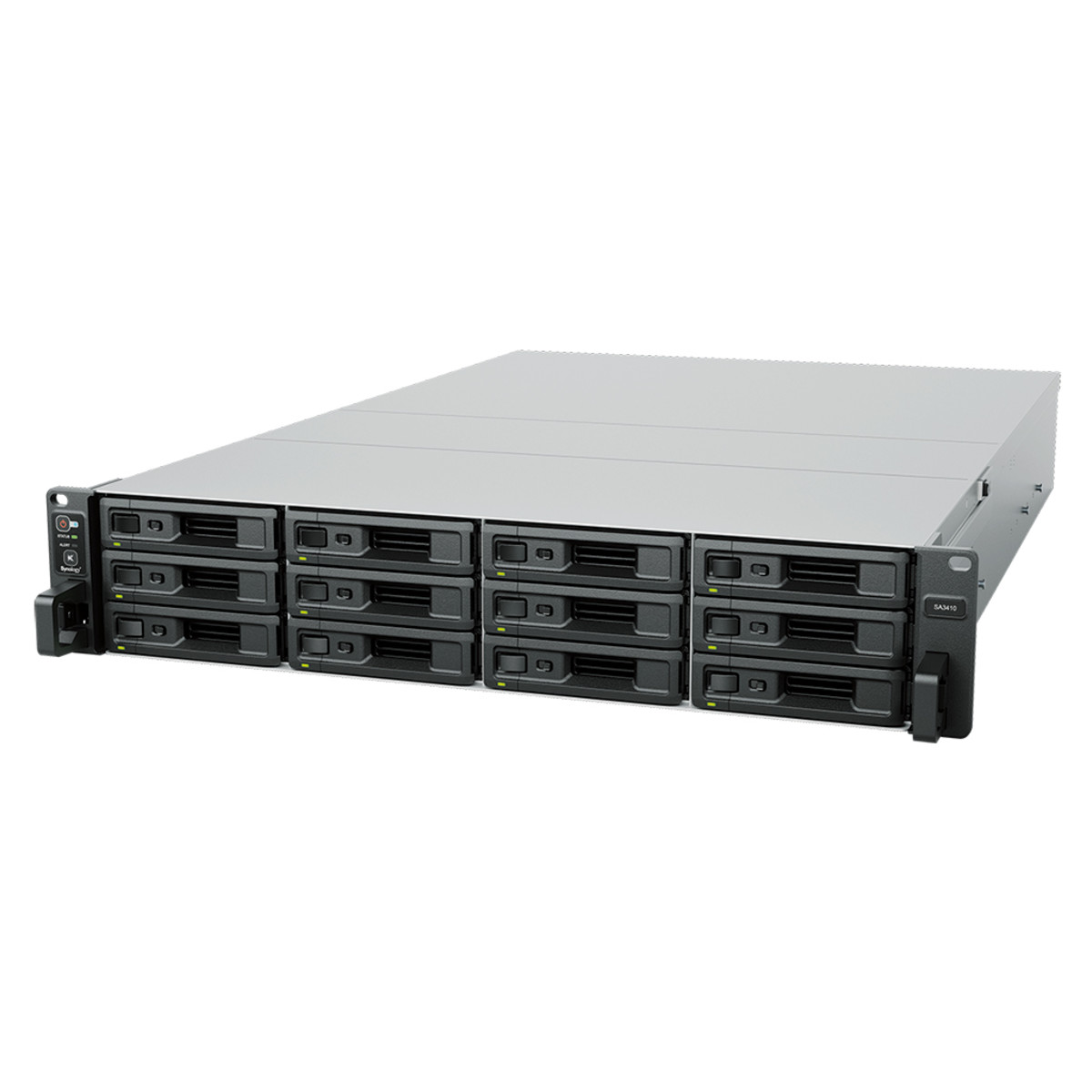 Sa3410 12 Bay NAS - Intel Xeon