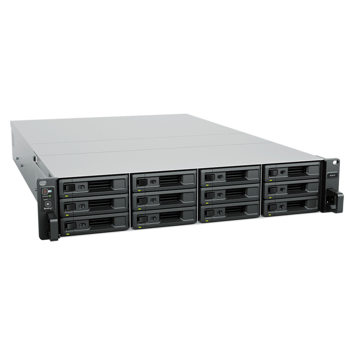 Sa3410 12 Bay NAS - Intel Xeon