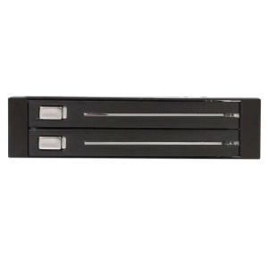 2 Drive 2.5in Trayless SATA Mobile Rack