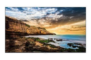 QE43T 43" UHD Entry Level LFD