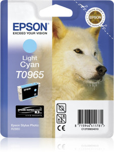Epson, Ink Cart - Light Cyan (R2880)
