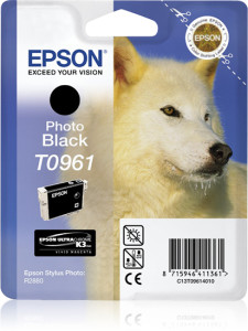 Epson, Ink Cart - Photo Black (R2880)