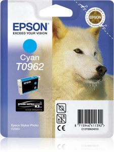 Epson, Ink Cart - Cyan (R2880)