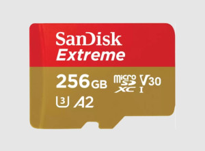 Sandisk, FC Extreme microSD 256GB & SD AD 190MB