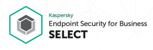 Kaspersky, - Select 2500-4999 1yr GovRen