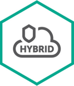 Kaspersky, Hybrid Cloud Srvr 50-99 Virt 3Y Edu Rnw