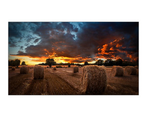VM55BU 55" VM-Series Videowall Display