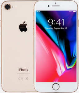 B2B 24 Warranty, iPh 8 64GB -Gld B2B 24mth TR R.A DShp