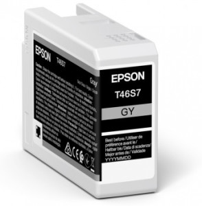 Epson, Grey Pro10 Ink Cartridge 25ml