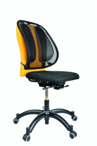 Fellowes, Office Suites Mesh Back Support