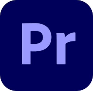 Adobe, VIP Premiere Pro Enterprise 12M L4 100+
