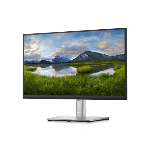 22 Monitor - P2222H - 54.6cm (21.5)
