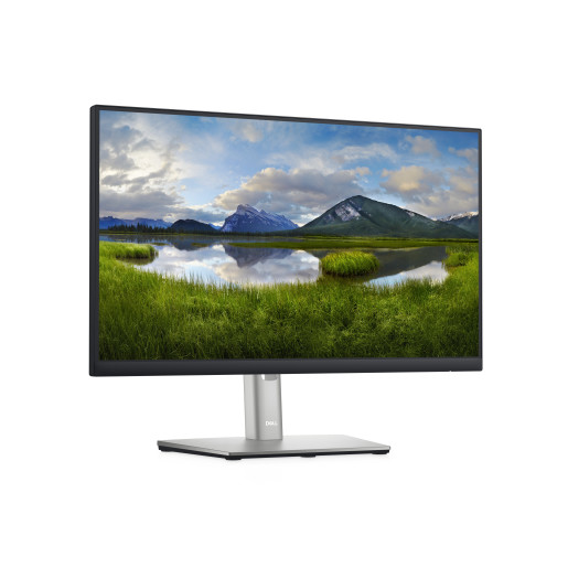 22 Monitor - P2222H - 54.6cm (21.5)