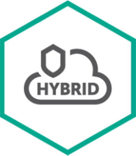 Hybrid Cloud Srvr 50-99 Virt 3Y Edu Rnw