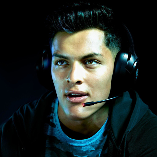LS15P Wireless Stereo Gaming Headset