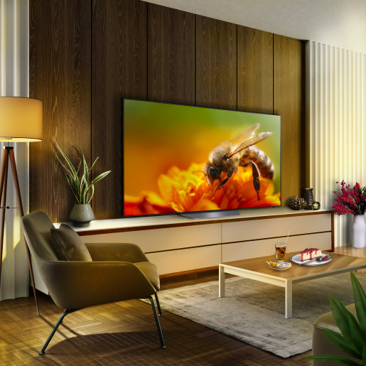 LG OLED B3 65 4K Smart TV