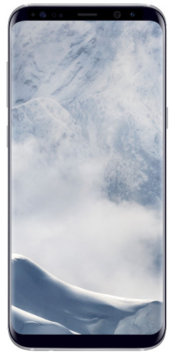 S8+ 64GB -Silver B2B 24m War Ent.Grd