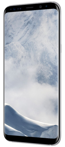 S8+ 64GB -Silver B2B 24m War Ent.Grd
