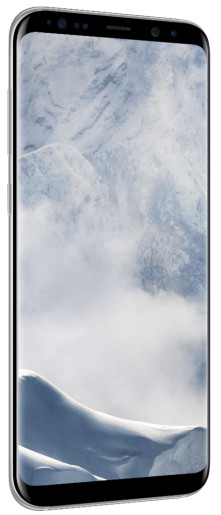 S8+ 64GB -Silver B2B 24m War Ent.Grd