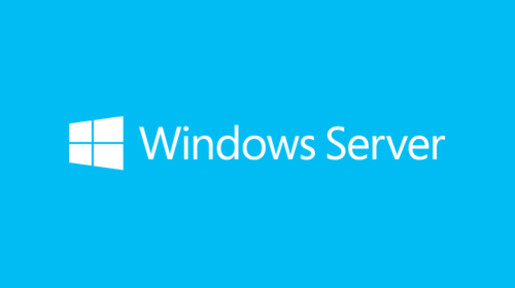 OEM Win Svr 2019 Eng 1 Clt Device CAL