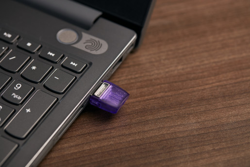 FD 256GB DataTraveler Microduo USB/USB-C