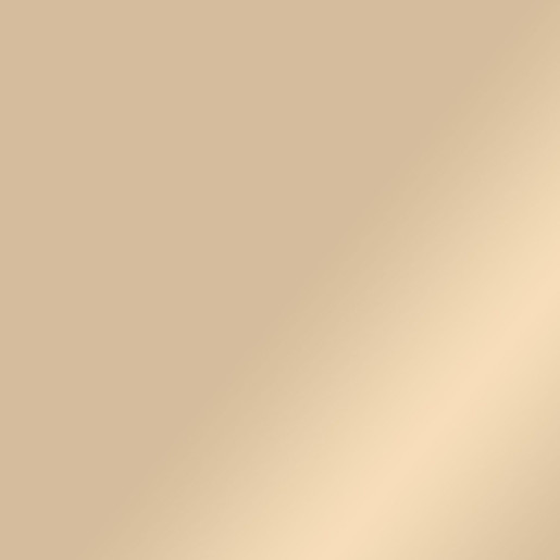 Prem Vinyl EMEA Basics - Perm 12x12(6)