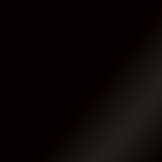 Prem Vinyl EMEA Basics - Perm 12x12(6)