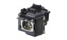 OEM lamp LMP-H260