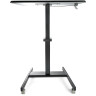 Mobile Standing Desk - Sit-Stand Cart