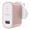 Ultra-Fast 2.4amp Charger Rose Gold Ultra-Fast 2.4amp Charger Rose Gold