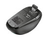 Yvi Wireless Mouse Parrot