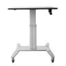 Workstation - Mobile Sit Stand
