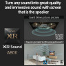XR A80 65
