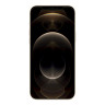 SF TG AM Screen Prot iPhone 12 Pro Max
