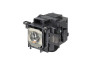 OEM lamp V13H010L78