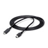 Cable USB C to Mini DisplayPort 6 ft