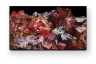 75 X95L Bravia 4K UHD OLED Smart TV