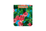 Flip5 TOLIETPAPER Rose contents