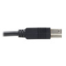USB 3.2 PLENUM FIBER AOC A/B M/M BLK 15M