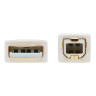 USB-A To USB-B Antibacterial Cbl 1.83m