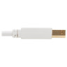 USB-A To USB-B Antibacterial Cbl 1.83m