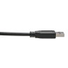 USB 3.1 USB Type-C to USB-A M/M 1M